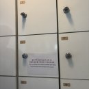 마오캣 | [서울/홍대] ‘고양이멀티카페 마오&#39; - 홍대 고양이 카페, 실내 홍대 데이트 추천