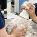 정메디칼 이미지