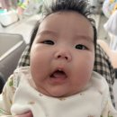 뽀댕뽀댕 이미지