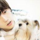 산들 강아지 이미지