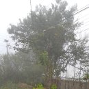 모하마을회관 이미지