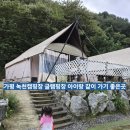 녹천캠핑 | 녹천캠핑장 가족여행 후기 가평캠핑장 글램핑 캠핑장 추천