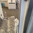 밀론부티크 상무 이미지