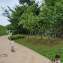 용죽3로 | 평택 용죽지구 반찬가게 소미네부엌 아기반찬 어른반찬 내돈내산 솔직후기