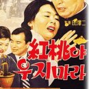 홍도야7080