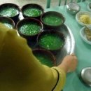 섬진강제첩국 이미지