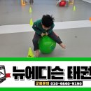 뉴에디슨태권도 이미지