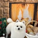 코코바코 이미지