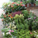 제주민속오일장 이미지