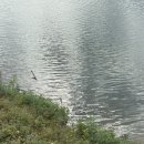 스피드존 이미지