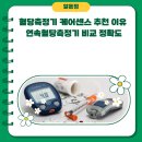 메디컬가디언 | 혈당측정기 케어센스 추천 이유 연속혈당측정기 비교 정확도