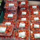 예산축산업협동조합 하나로마트 이미지