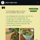 요모조모 | 송파, 폿커밍데이 𓇗 | 9월 고사리의 밤, 요모조모 마켓 후기