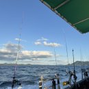 강태공낚시 | 사천 무늬오징어 팁런 선상낚시 후기 초보자의 뉴아재피싱호 체험기