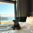 남해-미조-상주-비-1 | 6개월 아기랑 떠난 남해여행 가볼만한 곳 추천 일기1