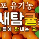 감귤PC 이미지