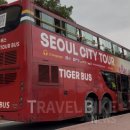 남산미래여행사