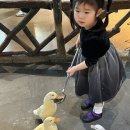 회천2동 무료경로식당 | 동탄 아이랑 먹이체험 실내 동물원 주렁주렁 주차 유모차 할인 식당 키즈카페 주말 방문