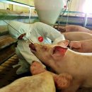 이한농장 이미지