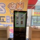 개밥파는고양이은평