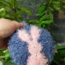 아지랑이 | [8년 전 오늘] {테스터 참여 후기} #아지랑이 님의 #토끼와당근수세미