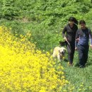 죽도농장 이미지