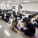 275 이미지