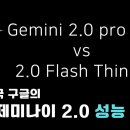 구글 Gemini 2.0 pro 공개. flash thinking과 pro 성능 비교(논리,수학,엔지니어링,코딩) 이미지