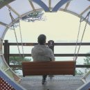 영보목장 네이버블로그