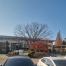 연수원로 | 안산 청년창업사관학교 방문 후기💡 창업 준비하는 사람이라면 꼭 알아야 할 현실 체험담