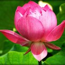 상림다볕당 이미지