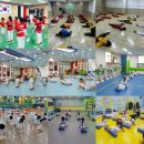 바른태권도 체육관 이미지