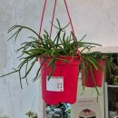 시청동3길시청동4길,시청동5길 | 그녀는 카메라를 자꾸 잊는다. 기억도 나지 않는다.