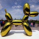 드로잉독 이미지