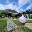 뜰단양카페 이미지