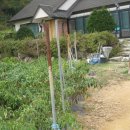 선원면-7 이미지