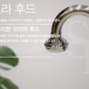 비엠지코리아