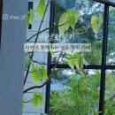 정원야생화 | 자연과 함께하는 경주 강동 대형 정원 카페 추천, 야생화일기