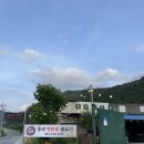 강원도 영월 연탄구이 삼겹살 목살 갈매기살 맛집 &lt;동원연탄불 생고기&gt;