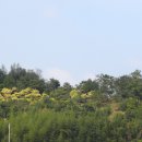 제일농장 이미지