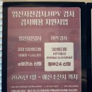 양지의원 | 30대 여성이라면 꼭 받아보기! 보건소 지원으로 산전검사 받은 후기