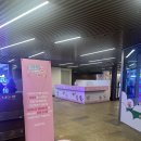 아이피엔터테인먼트 | 위시캣 테마파크 서울 레인보우티켓 솔직한 후기 : 인사 센트럴 뮤지엄, 아쉬웠던점