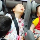 곽내과 이미지