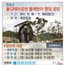 불갑농촌테마공원 이미지