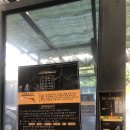 사직24시셀프세차타운 이미지