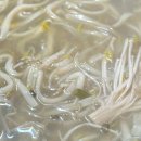 옥희네칼국수 이미지