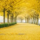 부송동신아파트 이미지