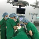 삼성동물병원 이미지