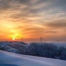 예실목장 이미지