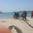 임랑해수욕장 Daum카페